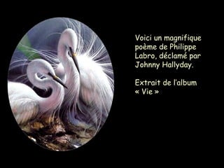 Voici un magnifique
poème de Philippe
Labro, déclamé par
Johnny Hallyday.
Extrait de l’album
« Vie »
 