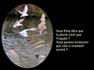 Vous êtes sûrs que
la photo n’est pas
truquée ?
Vous pouvez m’assurer
que cela a vraiment
existé ?
 
