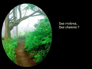 Des rivières,
Des chemins ?
 