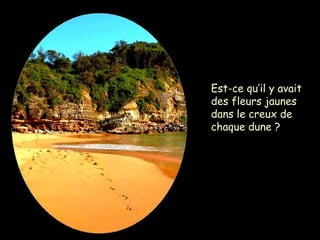 Est-ce qu’il y avait
des fleurs jaunes
dans le creux de
chaque dune ?
 