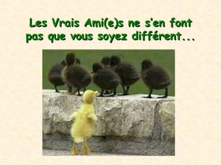 Les Vrais Ami(e)s  ne s’en font pas que vous soyez différent ... 