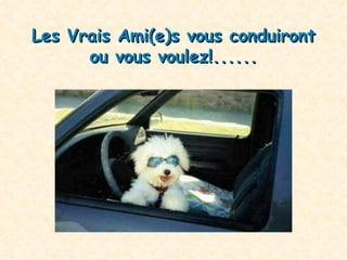 Les Vrais Ami(e)s  vous conduiront ou vous voulez !...... 