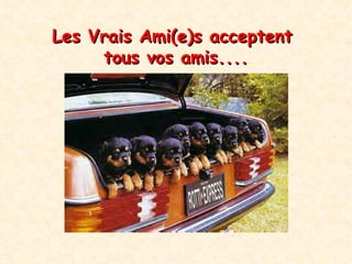 Les Vrais Ami(e)s  acceptent  tous vos amis .... 