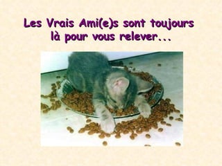 Les Vrais Ami(e)s  sont toujours  là pour vous relever ... 