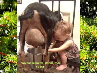 Voyons Biquette, donne-moi
du lait!
 