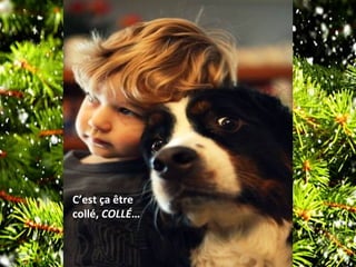 C’est ça être
collé, COLLÉ…
 