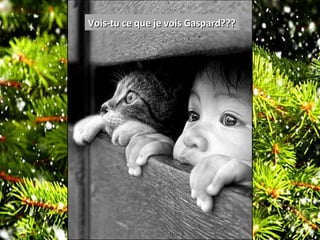 Vois-tu ce que je vois Gaspard???Vois-tu ce que je vois Gaspard???
 