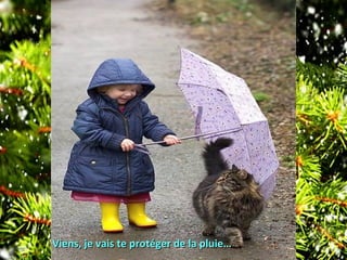 Viens, je vais te protéger de la pluie…Viens, je vais te protéger de la pluie…
 