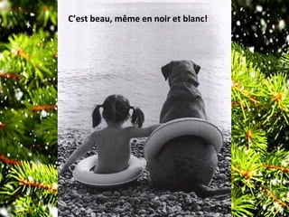 C’est beau, même en noir et blanc!
 