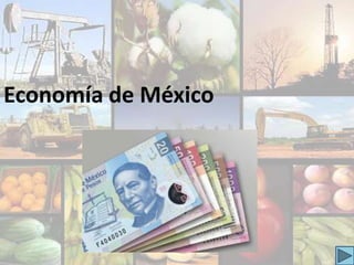 Economía de México
 