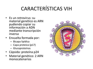 CARACTERÍSTICAS VIH
• Es un retrovirus: su
material genético es ARN
pudiendo copiar su
información a ADN
mediante transcripción
inversa
• Envuelta formada por:
– Bicapa lipídica
– Capa proteica (p17)
– Glucoproteínas
• Cápsida: proteína p24
• Material genético: 2 ARN
monocatenarios
 
