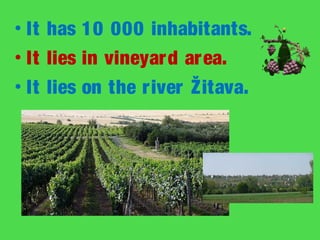 • It has 10 000 inhabitants.
• It lies in vineyar d ar ea.
• It lies on the river Žitava.
 