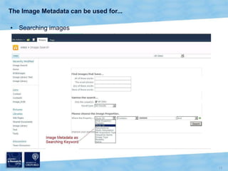 PI. Prof. Anne E. Trefethen