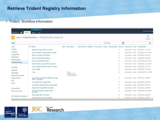 The Image Metadata can be used for...Filtering images