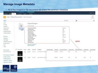  Project Partner:  Microsoft Research