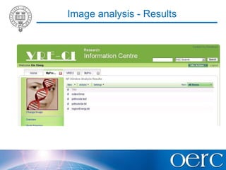 Co-I. Dr. Vicente Grau