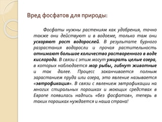Вред фосфатов для природы:
Фосфаты нужны растениям как удобрения, точно
также они действуют и в водоеме, только там они
ускоряют рост водорослей. В результате бурного
разрастания водоросли и прочая растительность
отнимают большое количество растворенного в воде
кислорода. В связи с этим могут умирать целые озера,
в которых наблюдается мор рыбы, гибнут животные
и так далее. Процесс заканчивается полным
зарастанием пруда или озера, это явление называется
«эвтрофикация». В связи с явлением эвтрофикации на
многих стиральных порошках и моющих средствах в
Европе появилась надпись «без фосфатов», теперь в
таких порошках нуждается и наша страна!
 