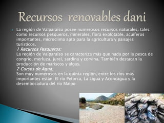  La región de Valparaíso posee numerosos recursos naturales, tales
como recursos pesqueros, minerales, flora explotable, acuíferos
importantes, microclima apto para la agricultura y paisajes
turísticos.
1 Recursos Pesqueros:
La región de Valparaíso se caracteriza más que nada por la pesca de
congrio, merluza, jurel, sardina y corvina. También destacan la
producción de mariscos y algas.
2 Cursos de Agua:
Son muy numerosos en la quinta región, entre los ríos más
importantes están: El río Petorca, La Ligua y Aconcagua y la
desembocadura del río Maipo
 