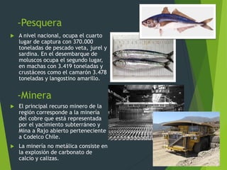 -Pesquera
-Minera
 A nivel nacional, ocupa el cuarto
lugar de captura con 370.000
toneladas de pescado veta, jurel y
sardina. En el desembarque de
moluscos ocupa el segundo lugar,
en machas con 3.419 toneladas y
crustáceos como el camarón 3.478
toneladas y langostino amarillo.
 El principal recurso minero de la
región corresponde a la minería
del cobre que está representada
por el yacimiento subterráneo y
Mina a Rajo abierto perteneciente
a Codelco Chile.
 La minería no metálica consiste en
la explosión de carbonato de
calcio y calizas.
 