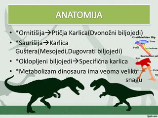 • *OrnitišijaPtičja Karlica(Dvonožni biljojedi)
• *SaurišijaKarlica
Guštera(Mesojedi,Dugovrati biljojedi)
• *Oklopljeni biljojediSpecifična karlica
• *Metabolizam dinosaura ima veoma veliku
snagu
 