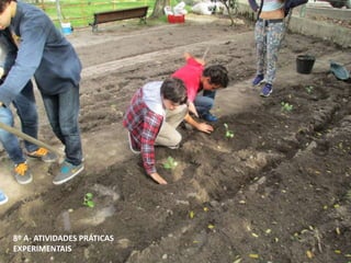 8º A- ATIVIDADES PRÁTICAS
EXPERIMENTAIS
 