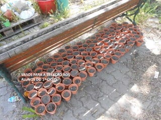 VASOS PARA A RECEÇÃO AOS
ALUNOS DO 1º CICLO.
 