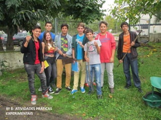 8º B- ATIVIDADES PRÁTICAS
EXPERIMENTAIS
 