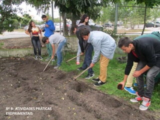 8º B- ATIVIDADES PRÁTICAS
EXEPRIMENTAIS
 