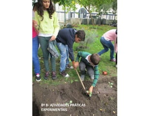 8º B- ATIVIDADES PRÁTICAS
EXPERIMENTAIS
 