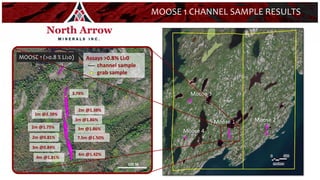 MOOSE 1 CHANNEL SAMPLE RESULTS
4m @1.42%
4m @1.81%
2m @1.75%
3m @1.86%
7.5m @1.50%
1m @2.38%
2m @1.38%
100 M
Assays >0.8% Li20
channel sample
grab sample
3m @0.84%
2m @0.81%
3m @1.86%
3.78%
MOOSE 1 (>0.8 % Li20)
13
Moose 2
Moose 1
Moose 3
Moose 4
 