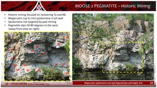 15
• Historic mining focused on recovering Ta and Nb
• Megacrystic (up to 1m) spodumene in pit wall
• Spodumene not targeted by past mining
• Pegmatite dips 50-80 degrees to the west
(away from view on right)
MOOSE 2 PEGMATITE – Historic Mining
Megacrystic spodumene in pit wall (Approximate wall height: 8m) 15
SP
SP
SP
SP
SP
SP
SP
SP SP
SP
SP
SP SP
SP
SP
SP
SP = SPODUMENE (Field of view height ~4m)
 