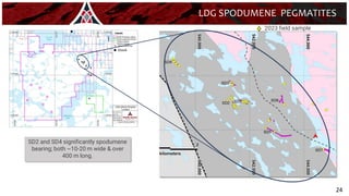 SD2 and SD4 significantly spodumene
bearing; both ~10-20 m wide & over
400 m long.
24
LDG SPODUMENE PEGMATITES
2023 field sample
x
x
xx
x
x
Diavik
 