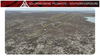 28
SD2 SPODUMENE PEGMATITE – SOUTHERN EXPOSURE
SD4
 