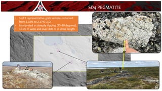 SD4 PEGMATITE
SD4 Pegmatite
30
• 5 of 7 representative grab samples returned
from 1.10% to 2.17% Li2O.
• Interpreted as steeply dipping (75-80 degrees).
• 10-20 m wide and over 400 m in strike length.
 