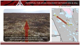 2023 field sample
POTENTIAL FOR MORE DISCOVERY BETWEEN SD2 & SD4
Extensive overburden leaves high potential for discovery of additional,
buried spodumene pegmatites between SD2 and SD4.
 