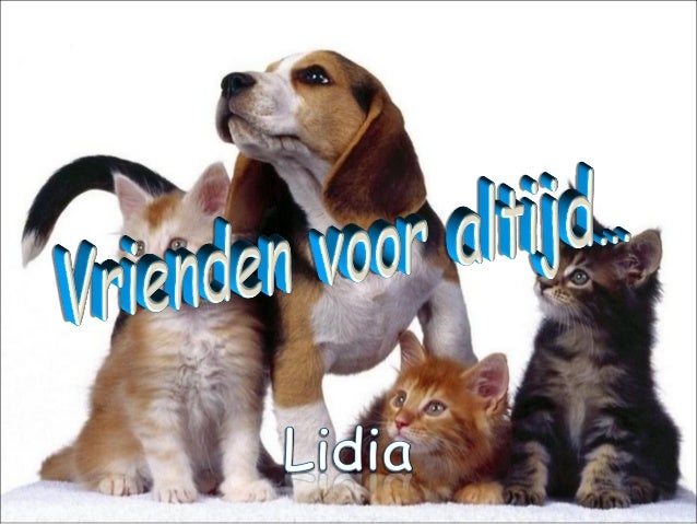 Chat sites voor vrienden