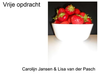 Vrije opdracht Carolijn Jansen & Lisa van der Pasch 