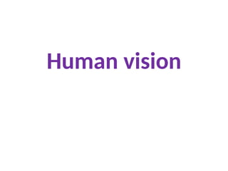 Human vision
 