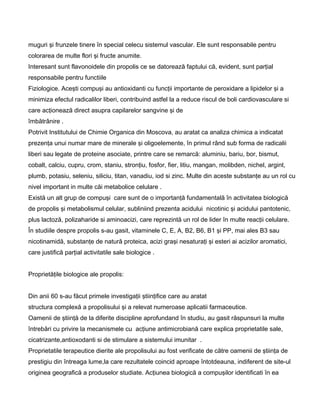 muguri şi frunzele tinere în special celecu sistemul vascular. Ele sunt responsabile pentru
colorarea de multe flori şi fructe anumite.
Interesant sunt flavonoidele din propolis ce se datorează faptului că, evident, sunt parţial
responsabile pentru functiile
Fiziologice. Aceşti compuşi au antioxidanti cu funcţii importante de peroxidare a lipidelor şi a
minimiza efectul radicalilor liberi, contribuind astfel la a reduce riscul de boli cardiovasculare si
care acţionează direct asupra capilarelor sangvine şi de
îmbătrânire .
Potrivit Institutului de Chimie Organica din Moscova, au aratat ca analiza chimica a indicatat
prezenţa unui numar mare de minerale şi oligoelemente, în primul rând sub forma de radicalii
liberi sau legate de proteine asociate, printre care se remarcă: aluminiu, bariu, bor, bismut,
cobalt, calciu, cupru, crom, staniu, stronţiu, fosfor, fier, litiu, mangan, molibden, nichel, argint,
plumb, potasiu, seleniu, siliciu, titan, vanadiu, iod si zinc. Multe din aceste substanţe au un rol cu
nivel important in multe căi metabolice celulare .
Există un alt grup de compuşi care sunt de o importanţă fundamentală în activitatea biologică
de propolis şi metabolismul celular, subliniind prezenta acidului nicotinic şi acidului pantotenic,
plus lactoză, polizaharide si aminoacizi, care reprezintă un rol de lider în multe reacţii celulare.
În studiile despre propolis s-au gasit, vitaminele C, E, A, B2, B6, B1 şi PP, mai ales B3 sau
nicotinamidă, substanţe de natură proteica, acizi graşi nesaturaţi şi esteri ai acizilor aromatici,
care justifică parţial activitatile sale biologice .
Proprietăţile biologice ale propolis:
Din anii 60 s-au făcut primele investigaţii ştiinţifice care au aratat
structura complexă a propolisului şi a relevat numeroase aplicatii farmaceutice.
Oamenii de ştiinţă de la diferite discipline aprofundand în studiu, au gasit răspunsuri la multe
întrebări cu privire la mecanismele cu acţiune antimicrobiană care explica proprietatile sale,
cicatrizante,antioxodanti si de stimulare a sistemului imunitar .
Proprietatile terapeutice dierite ale propolisului au fost verificate de către oamenii de ştiinţa de
prestigiu din întreaga lume,la care rezultatele coincid aproape întotdeauna, indiferent de site-ul
originea geografică a produselor studiate. Acţiunea biologică a compuşilor identificati în ea
 