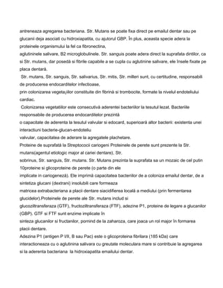 antreneaza agregarea bacteriana. Str. Mutans se poate fixa direct pe emailul dentar sau pe
glucanii deja asociati cu hidroxiapatita, cu ajutorul GBP. În plus, aceasta specie adera la
proteinele organismului la fel ca fibronectina,
aglutininele salivare, B2 microglobulinele. Str. sanguis poate adera direct la suprafata dintilor, ca
si Str. mutans, dar posedå si fibrile capabile a se cupla cu aglutinine salivare, ele însele fixate pe
placa dentarå.
Str. mutans, Str. sanguis, Str. salivarius, Str. mitis, Str. milleri sunt, cu certitudine, responsabili
de producerea endocarditelor infectioase,
prin colonizarea vegeta¡iilor constituite din fibrinå si trombocite, formate la nivelul endoteliului
cardiac.
Colonizarea vegetatiilor este consecutivå aderentei bacteriilor la tesutul lezat. Bacteriile
responsabile de producerea endocarditelor prezintå
o capacitate de aderenta la tesutul valvular si edocard, superioarå altor bacterii: existenta unei
interactiuni bacterie-glucan-endoteliu
valvular, capacitatea de aderare la agregatele plachetare.
Proteine de suprafatå la Streptococii cariogeni Proteinele de perete sunt prezente la Str.
mutans(agentul etiologic major al cariei dentare), Str.
sobrinus, Str. sanguis, Str. mutans. Str. Mutans prezinta la suprafata sa un mozaic de cel putin
10proteine si glicoproteine de perete (o parte din ele
implicate in cariogenezå). Ele imprimå capacitatea bacteriilor de a coloniza emailul dentar, de a
sintetiza glucani (dextrani) insolubili care formeaza
matricea extrabacteriana a placii dentare siacidifierea localå a mediului (prin fermentarea
glucidelor).Proteinele de perete ale Str. mutans includ si
glucoziltransferaza (GTF), fructoziltransferaza (FTF), adezine P1, proteine de legare a glucanilor
(GBP). GTF si FTF sunt enzime implicate în
sinteza glucanilor si fructanilor, pornind de la zaharoza, care joaca un rol major în formarea
placii dentare.
Adezina P1 (antigen P I/II, B sau Pac) este o glicoproteina fibrilara (185 kDa) care
interactioneaza cu o aglutinina salivara cu greutate moleculara mare si contribuie la agregarea
si la aderenta bacteriana la hidroxiapatita emailului dentar.
 