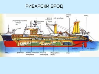 РИБАРСКИ БРОД
 