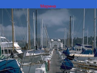 Марина
 
