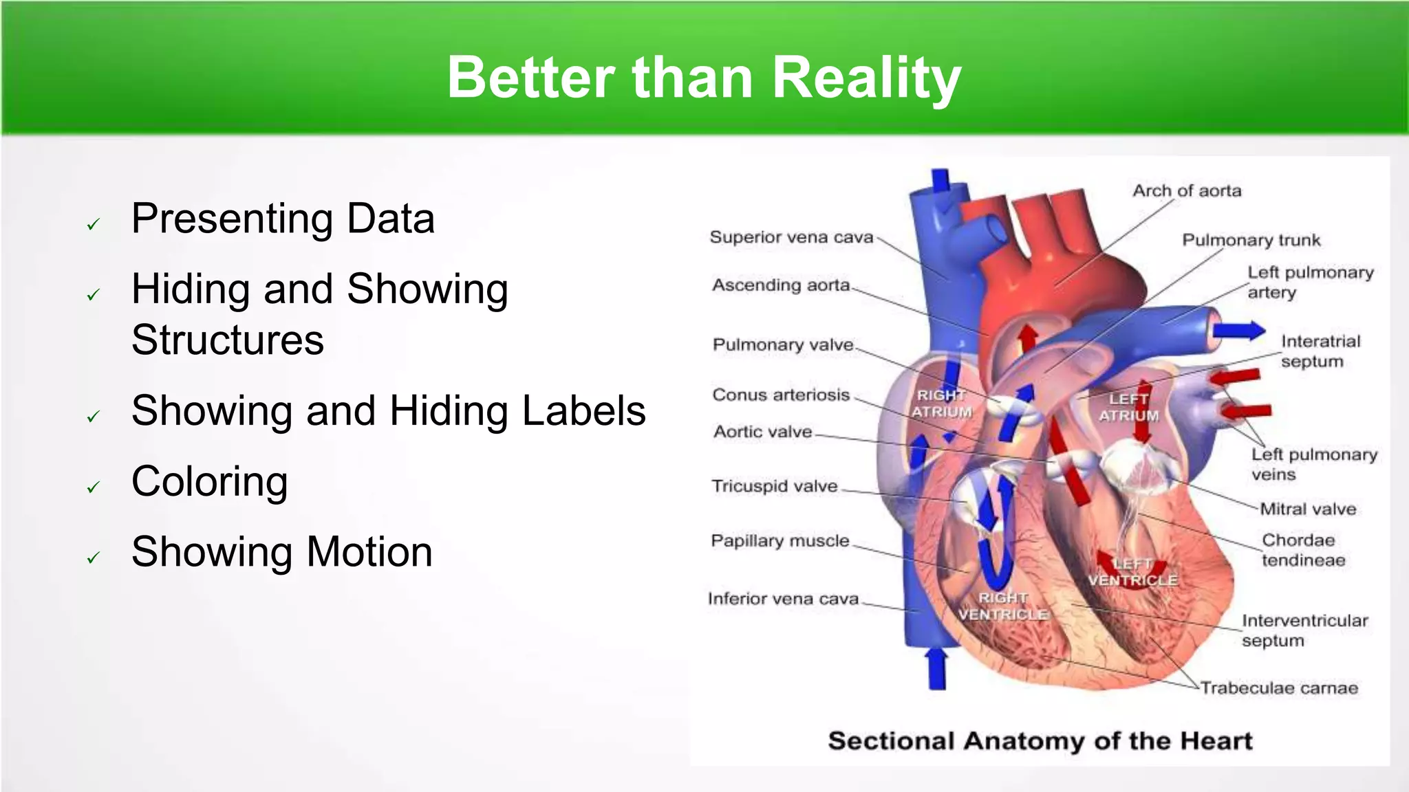 Better than Reality
 Presenting Data
 Hiding and Showing
Structures
 Showing and Hiding Labels
 Coloring
 Showing Motion
 