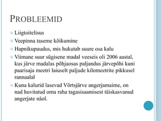 PROBLEEMID
 Liigtoitelisus
 Veepinna taseme kõikumine
 Hapnikupuudus, mis hukutab suure osa kalu
 Viimane suur sügisene madal veeseis oli 2006 aastal,
kus järve madalas põhjaosas paljandus järvepõhi kuni
paarisaja meetri laiuselt paljude kilomeetrite pikkusel
rannaalal
 Kuna kalurid lasevad Võrtsjärve angerjamaime, on
nad huvitatud oma raha tagasisaamisest täiskasvanud
angerjate näol.
 