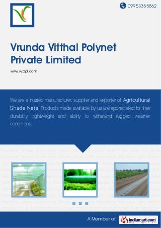 09953355862
A Member of
Vrunda Vitthal Polynet
Private Limited
www.vvppl.com
Shade Nets Agro Shade Nets Agricultural Mulch Film Nets for Wind Protection Garden Shade
Nets Vehicle Shade Cloth Agricultural Well Nets Light Weight Nets Nursery Shade Nets Nets for
Crop Protection Shade Nets Agro Shade Nets Agricultural Mulch Film Nets for Wind
Protection Garden Shade Nets Vehicle Shade Cloth Agricultural Well Nets Light Weight
Nets Nursery Shade Nets Nets for Crop Protection Shade Nets Agro Shade Nets Agricultural
Mulch Film Nets for Wind Protection Garden Shade Nets Vehicle Shade Cloth Agricultural Well
Nets Light Weight Nets Nursery Shade Nets Nets for Crop Protection Shade Nets Agro Shade
Nets Agricultural Mulch Film Nets for Wind Protection Garden Shade Nets Vehicle Shade
Cloth Agricultural Well Nets Light Weight Nets Nursery Shade Nets Nets for Crop
Protection Shade Nets Agro Shade Nets Agricultural Mulch Film Nets for Wind
Protection Garden Shade Nets Vehicle Shade Cloth Agricultural Well Nets Light Weight
Nets Nursery Shade Nets Nets for Crop Protection Shade Nets Agro Shade Nets Agricultural
Mulch Film Nets for Wind Protection Garden Shade Nets Vehicle Shade Cloth Agricultural Well
Nets Light Weight Nets Nursery Shade Nets Nets for Crop Protection Shade Nets Agro Shade
Nets Agricultural Mulch Film Nets for Wind Protection Garden Shade Nets Vehicle Shade
Cloth Agricultural Well Nets Light Weight Nets Nursery Shade Nets Nets for Crop
Protection Shade Nets Agro Shade Nets Agricultural Mulch Film Nets for Wind
Protection Garden Shade Nets Vehicle Shade Cloth Agricultural Well Nets Light Weight
Nets Nursery Shade Nets Nets for Crop Protection Shade Nets Agro Shade Nets Agricultural
We are a trusted manufacturer, supplier and exporter of Agricultural
Shade Nets. Products made available by us are appreciated for their
durability, lightweight and ability to withstand rugged weather
conditions.
 