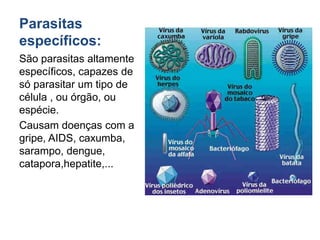 EstruturaO vírus é formado basicamente de :Material genético- partes de ácido nucléico. DNA ou RNA – nunca os dois juntos.O ácido nucléico sempre é envolto por uma cápsula de proteína – Capsídeo.Alguns vírus possuem ainda um envelope  lipoproteíco – nucleocapsídeo.Esses vírus são chamados de envelopados.Parasitas ObrigatóriosOs vírus têm que parasitar a célula para se duplicar, usando toda a “maquinária” da célula – organelas- para se multiplicar.Se estão fora da célula ficam “adormecidos”- víron.