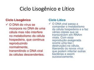 Ciclo LisogênicoO DNA viral se incorpora ao DNA da célula hospedeira, que continua a se reproduzir.Algum evento externo ou instruções do próprio DNA viral inicia a replicação viral que estava “adormecida.”A reprodução do vírus se inicia normalmente, como no ciclo lítico. 