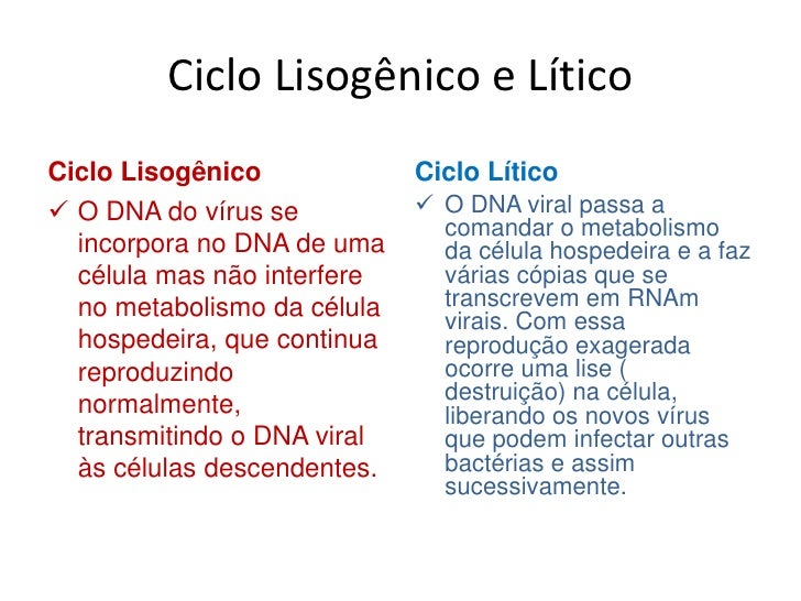 Resultado de imagem para IMAGENS DE ESTRUTURA DOS VIRUS