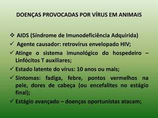 PenetraçãoAdsorçãoCICLO LÍTICO DE UM BACTERIÓFAGODegeneração de cromossomosBiossínteseLiberaçãoMaturação