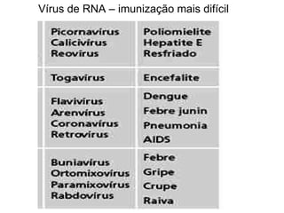 Vírus de RNA – imunização mais difícil 